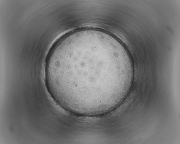 X0000113340984200910131215