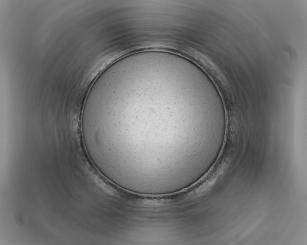X0000113340985200910131215