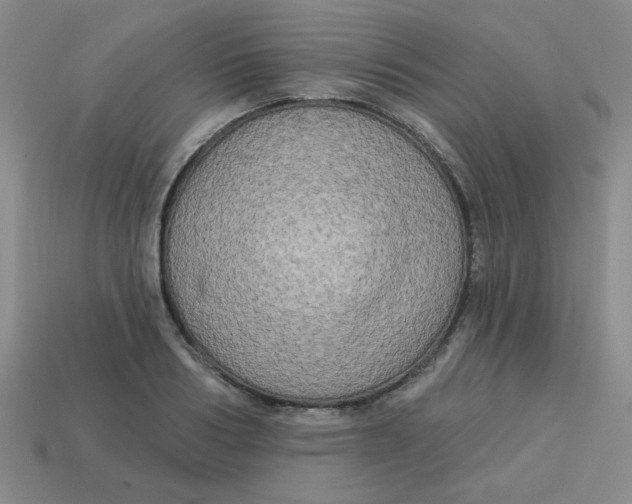 X0000113340986200910131215