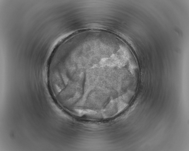 X0000113340987200910131215