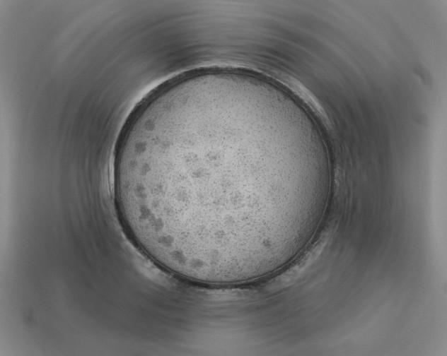 X0000113340988200910131215