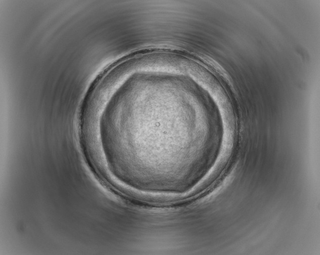 X0000113340989200910131215