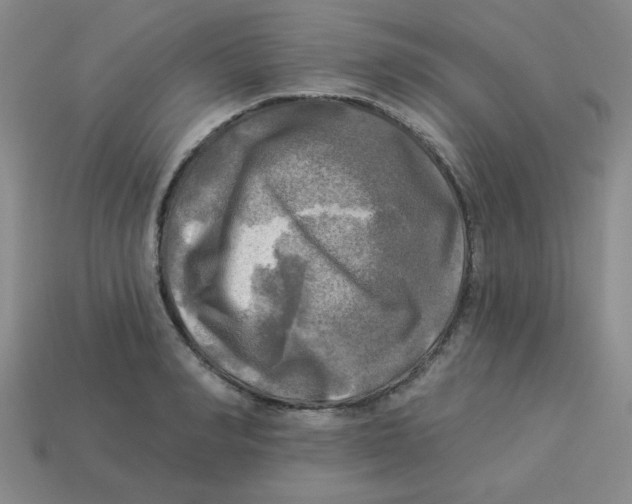 X0000113340990200910131215