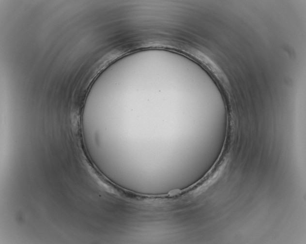 X0000113340993200910131215