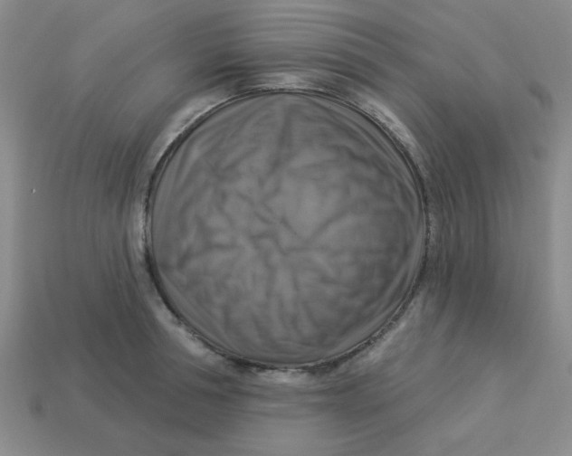 X0000113340994200910131215