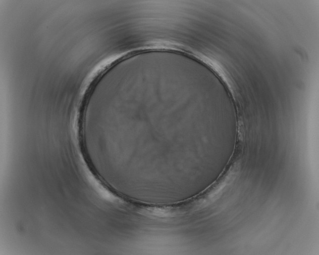 X0000113340995200910131215