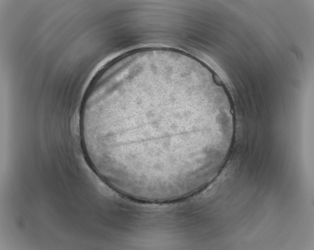 X0000113340996200910131215