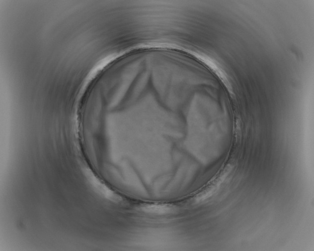 X0000113340998200910131215