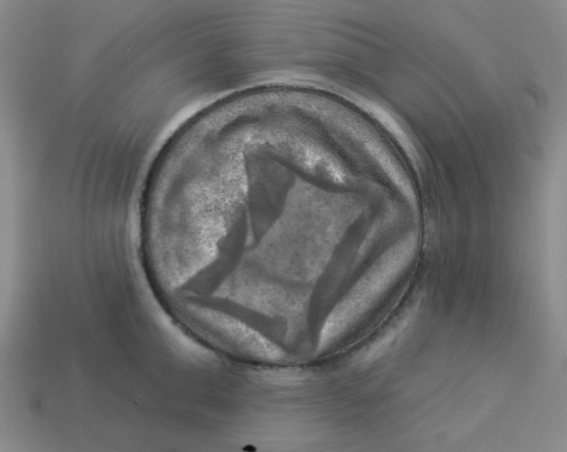 X0000113340999200910131215