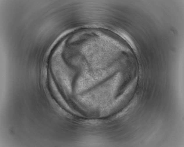 X0000113341000200910131215