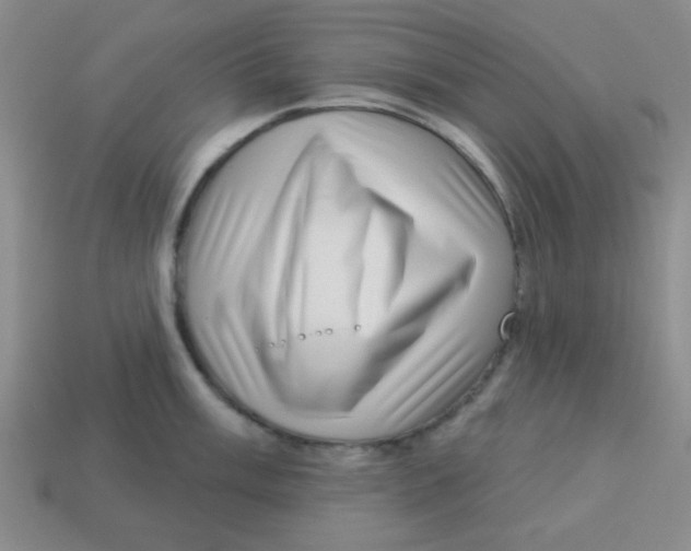 X0000113341003200910131215