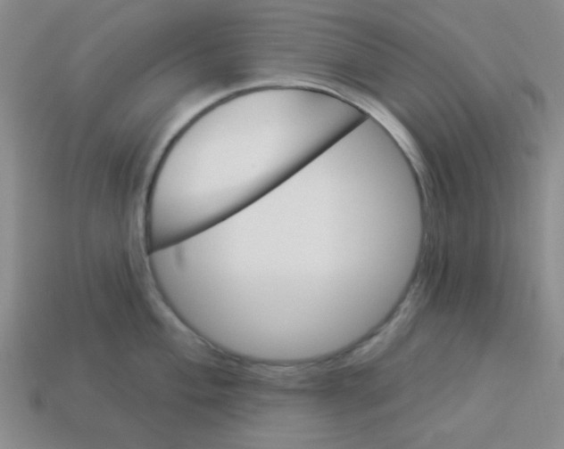 X0000113341004200910131215