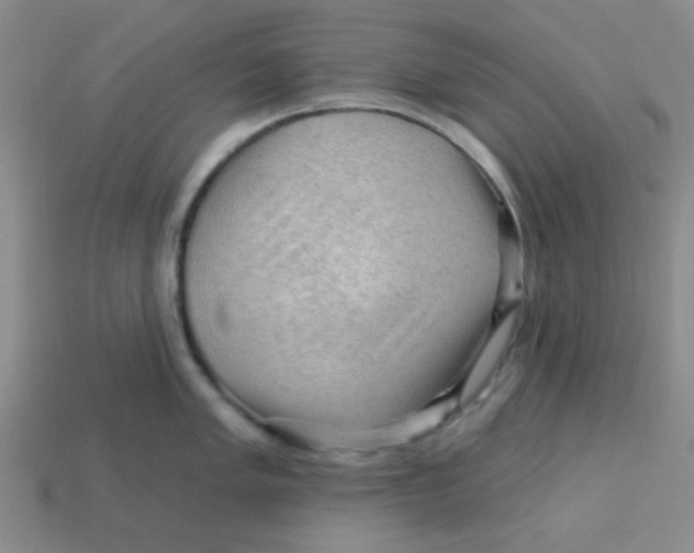 X0000113341005200910131215
