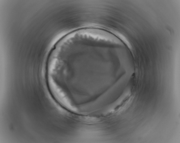 X0000113341007200910131215