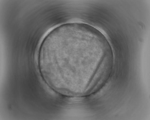X0000113341008200910131215
