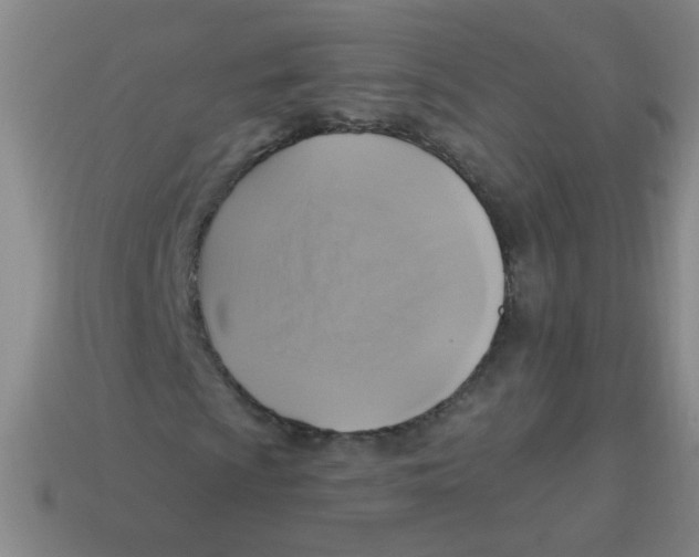 X0000113341009200910131214
