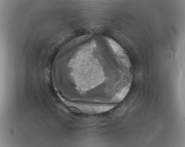 X0000113341010200910131214