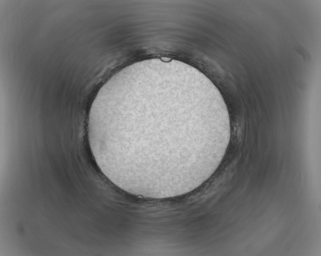 X0000113341012200910131214