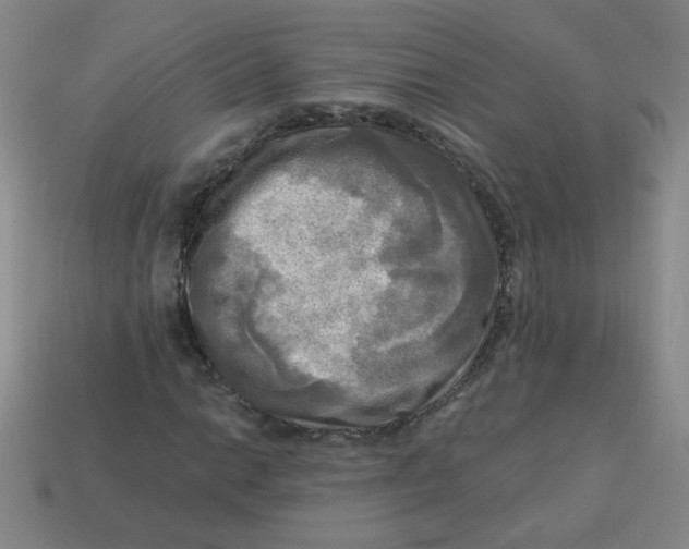 X0000113341014200910131214