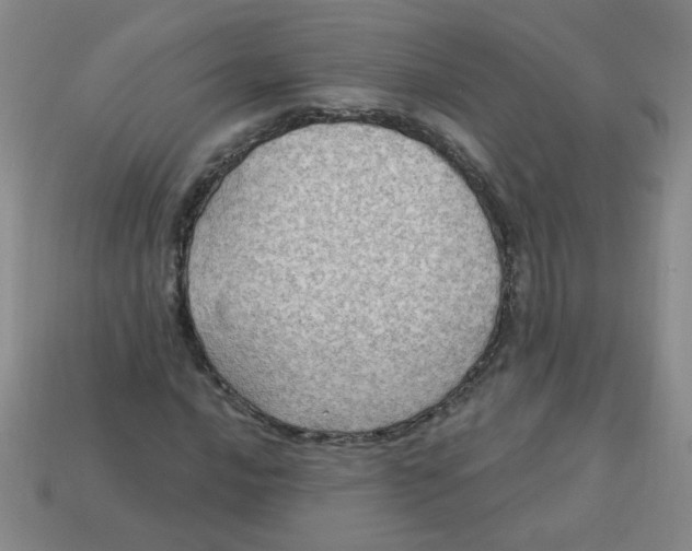 X0000113341016200910131214