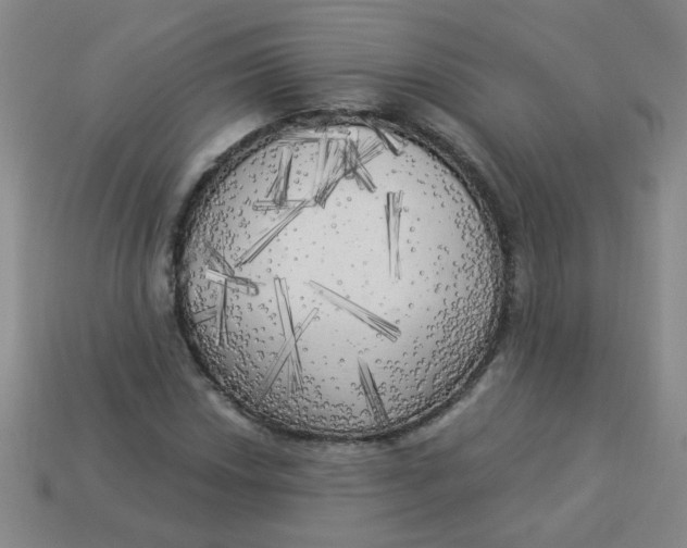 X0000113341018200910131214