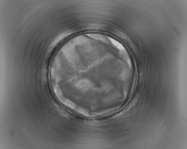 X0000113341019200910131214