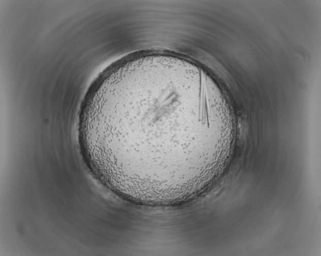 X0000113341020200910131214