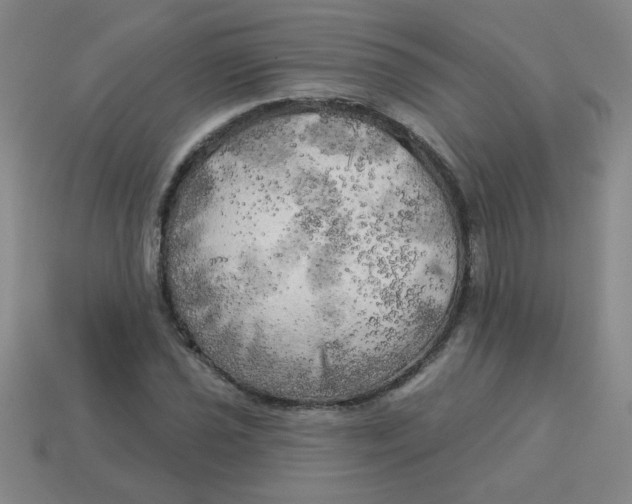 X0000113341021200910131214