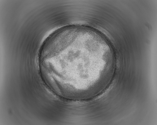X0000113341022200910131214