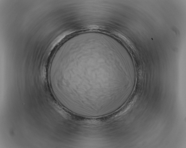 X0000113341023200910131214