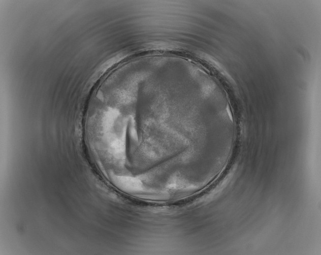 X0000113341025200910131214
