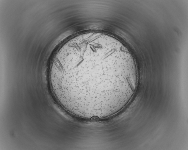 X0000113341026200910131214