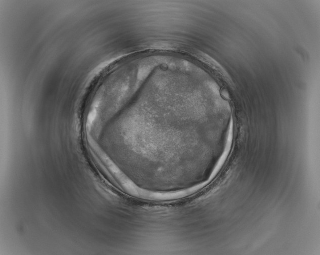 X0000113341027200910131214