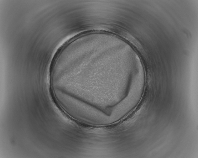 X0000113341028200910131214