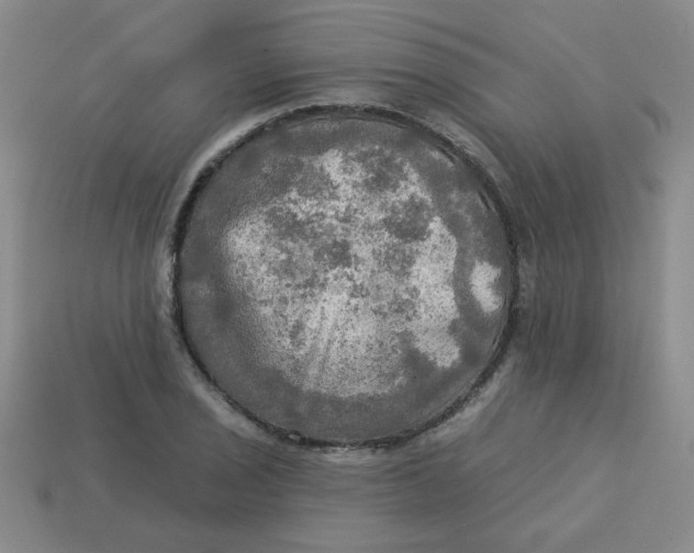 X0000113341029200910131214