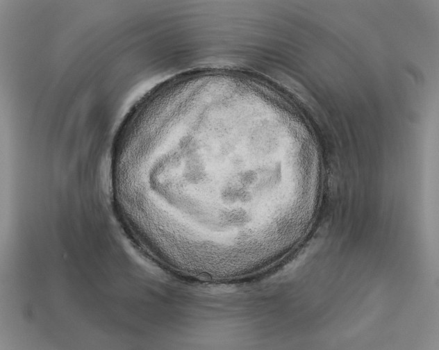 X0000113341030200910131214