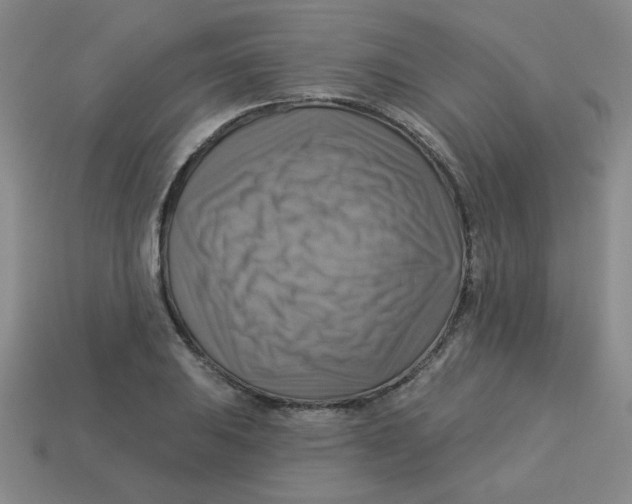 X0000113341031200910131214