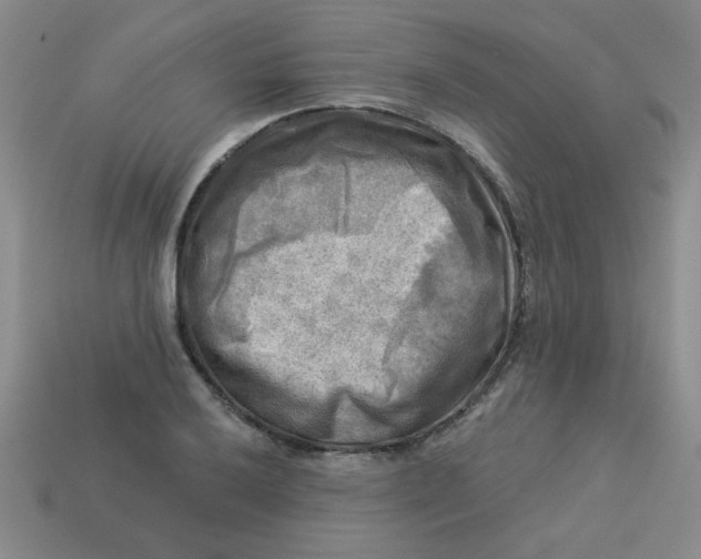 X0000113341032200910131214