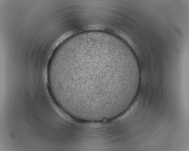 X0000113341034200910131214