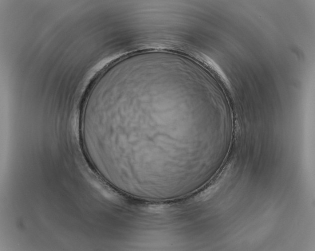 X0000113341035200910131214