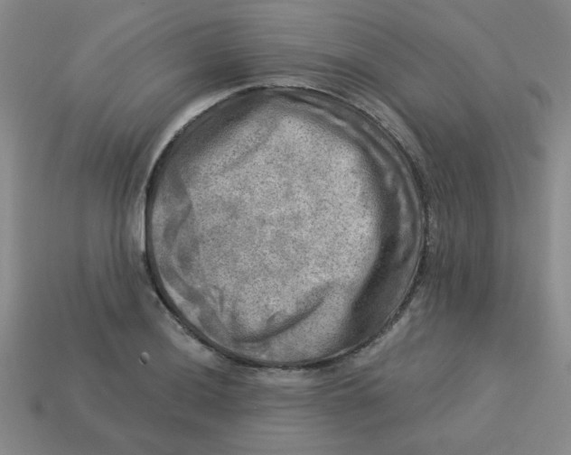 X0000113341036200910131214