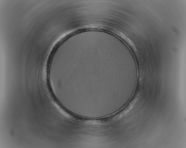 X0000113341037200910131214
