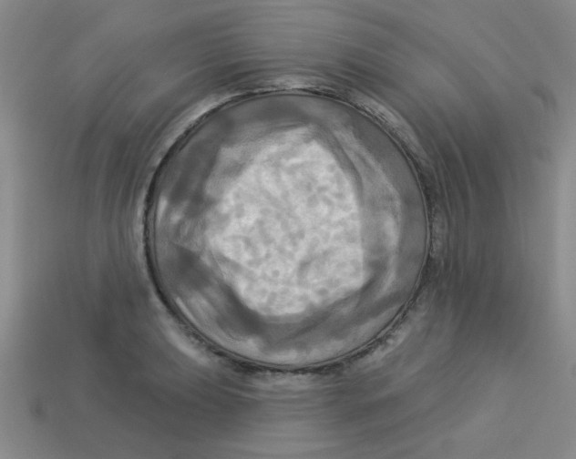 X0000113341039200910131214