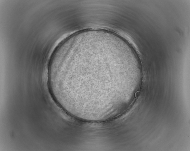 X0000113341040200910131214