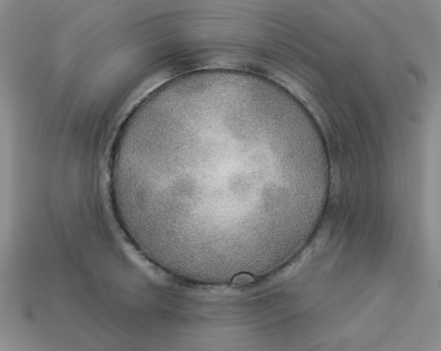 X0000113341042200910131215