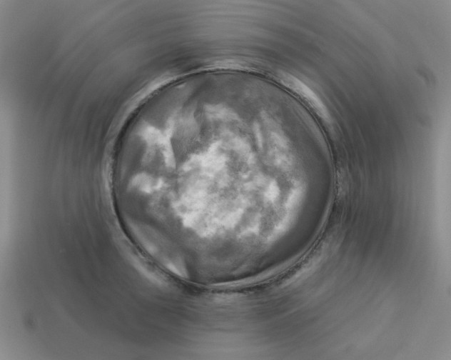 X0000113341043200910131215