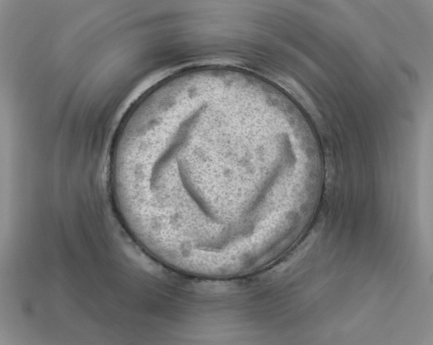 X0000113341044200910131215