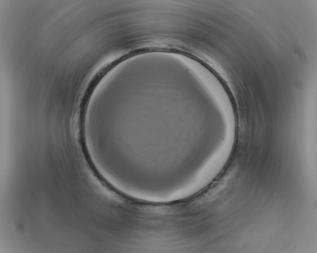 X0000113341045200910131215
