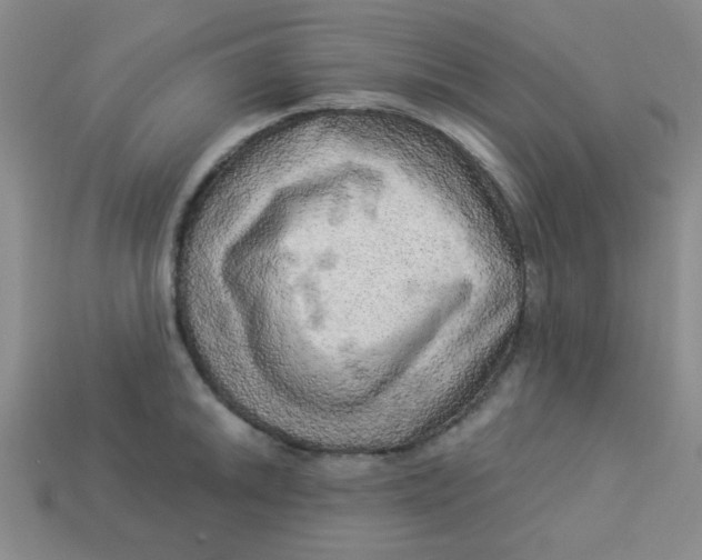 X0000113341046200910131215
