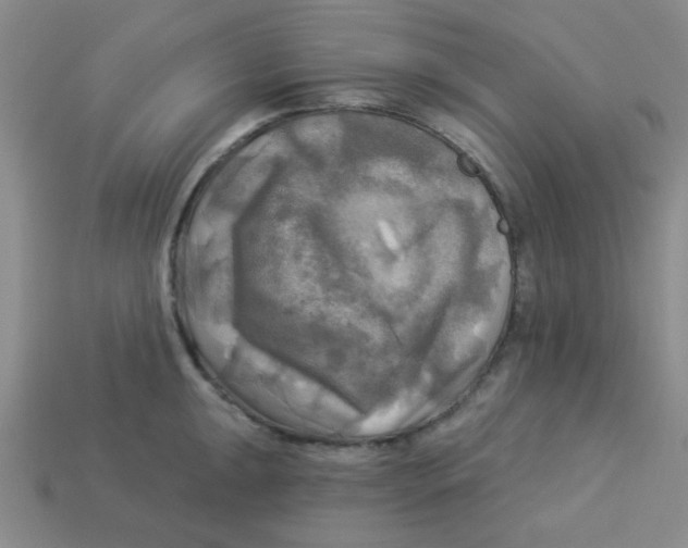 X0000113341047200910131215